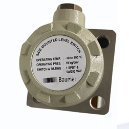 Baumer Electric Supplier 