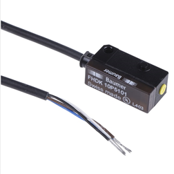 Baumer Electric Supplier 