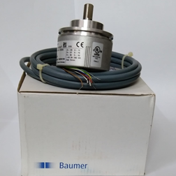 Baumer Electric