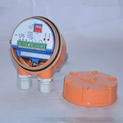 Vibrating Fork Level Switch Vibrating Fork Level Switch Model 2